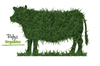 Beef Grass Fed Quarter - $17.85kg (55kg to 65kg) - DEPOSIT