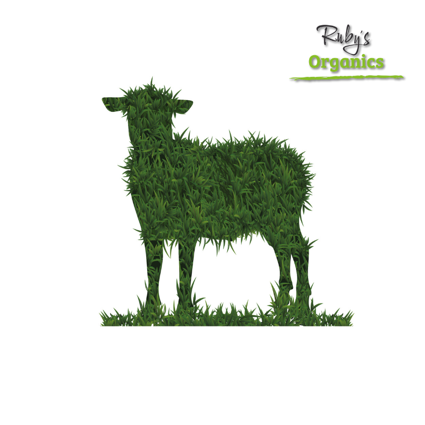 Lamb Regeneratively Farmed - Pie (Twin Pack)