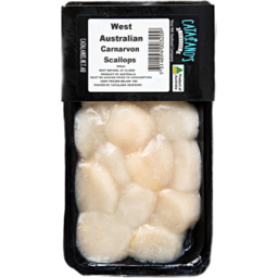 CATALANO'S SEAFOOD WA Scallop Meat - FROZEN (200g)