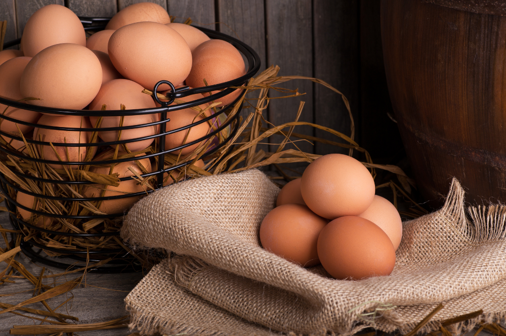 Free Range Eggs Large 600g