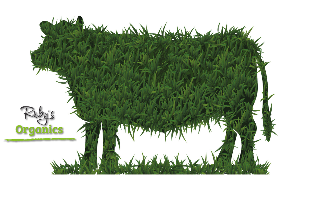 Beef Organic Grass Fed 1/8th of Cow - (27.5kg - 32.5kg)