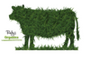 Beef Organic Grass Fed Whole - (220kg to 240kg) DEPOSIT