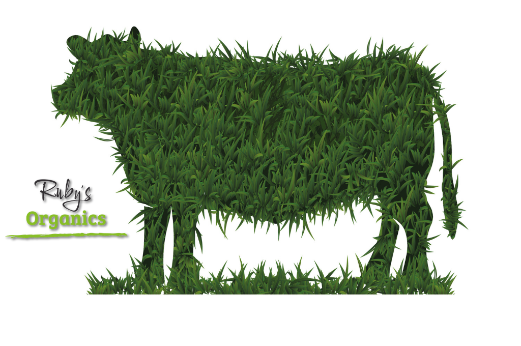Beef Organic Grass Fed Whole - $17.85kg (220kg to 240kg) DEPOSIT
