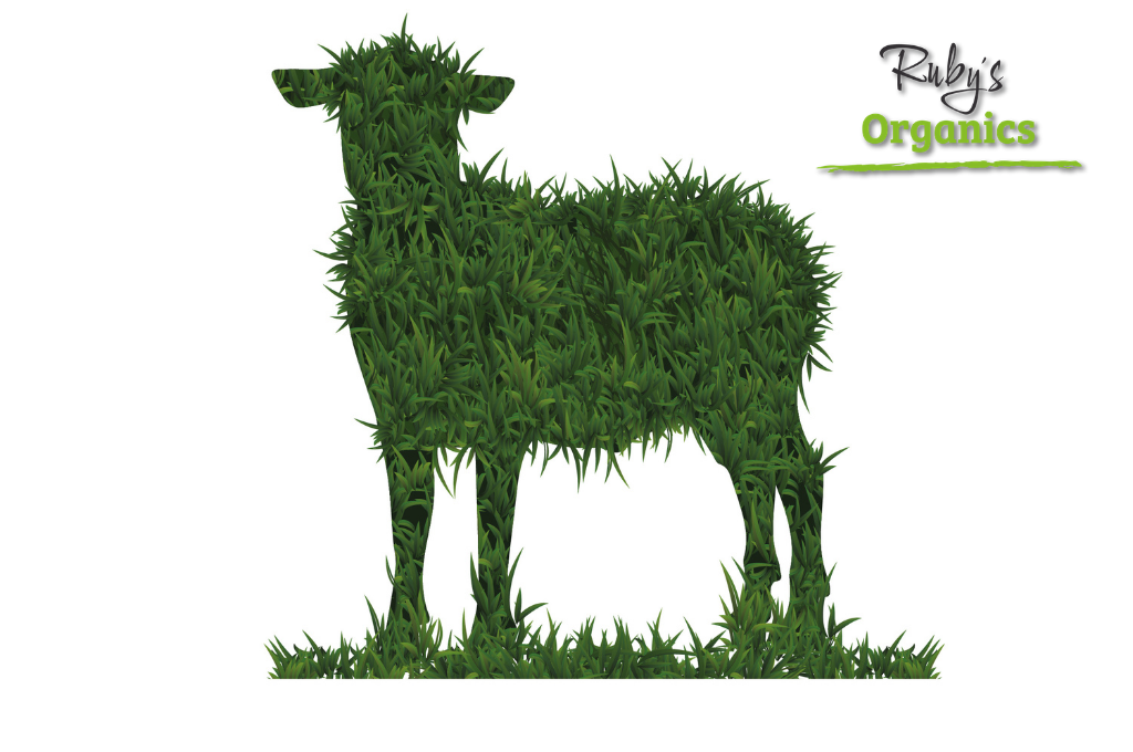 Lamb Regeneratively Farmed WHOLE - (20kg to 24kg)