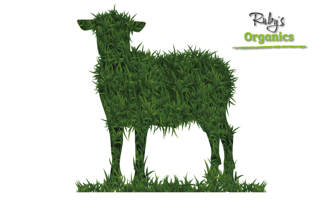 Lamb Grass Fed SIDE - $20kg (10kg to 12kg) DEPOSIT